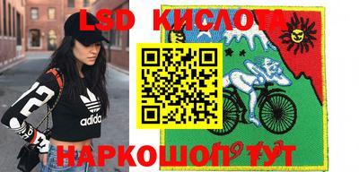 спиды Краснознаменск
