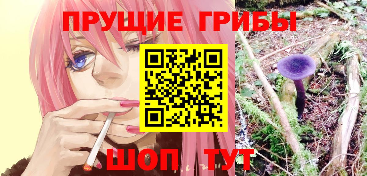 Гусь-Хрустальный  Псилоцибиновые грибы Psilocybe  Вход с VPN 
